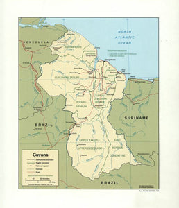 Map of Guyana Framed Push Pin Map