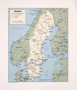 Map of Sweden Framed Push Pin Map