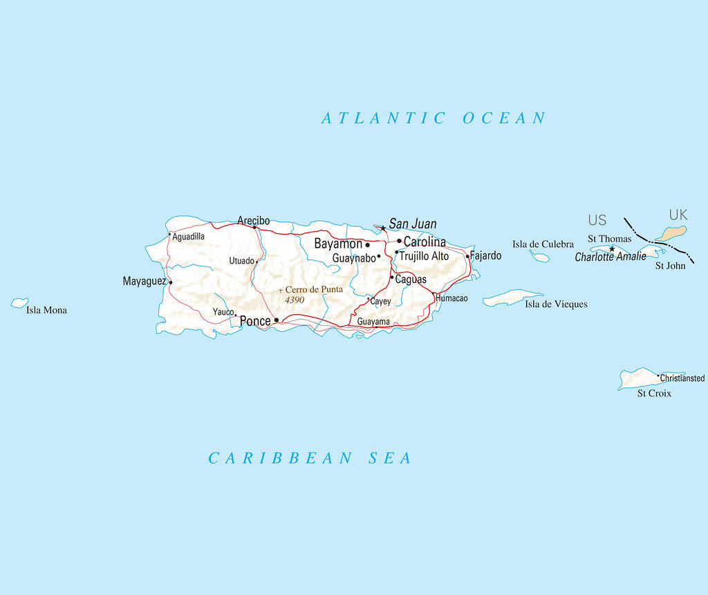 Map of Puerto Rico PR - Reference Map Framed Push Pin Map – wallmapsforsale