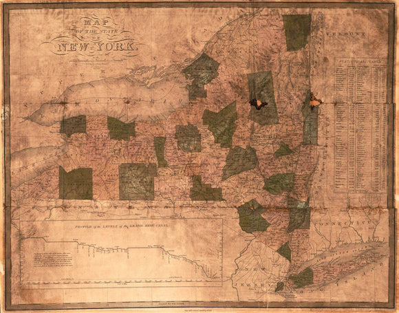 Vintage Map of the state of New York, 1824