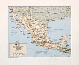 Map of Mexico Framed Push Pin Map