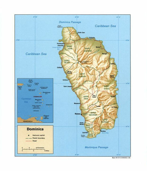 Map of Dominica Framed Push Pin Map
