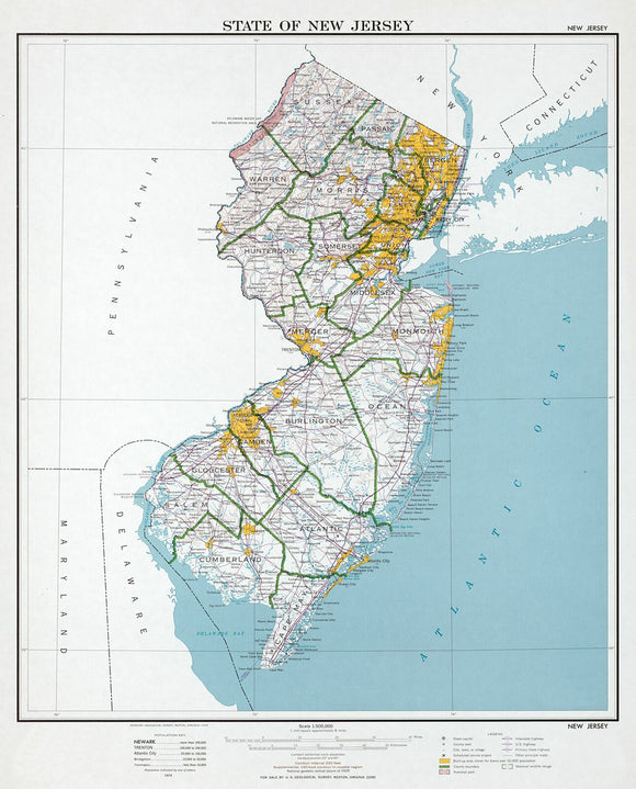 Map of State of New Jersey Framed Push Pin Map