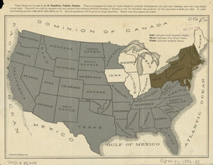 Vintage Map of the United States - Gold Standard Debate, 1896