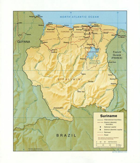 Map of Suriname Framed Push Pin Map