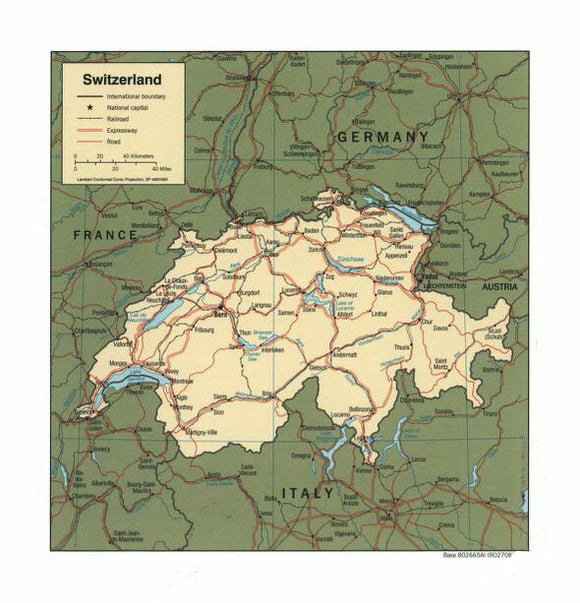 Map of Switzerland Framed Push Pin Map