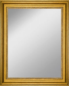 Framed Mirror 17.3" x 21.2" - with Gold Finish Frame